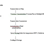Tomato powder flowchart: vacuum concentration of juice, atomization, spray drying, then cooling and storage