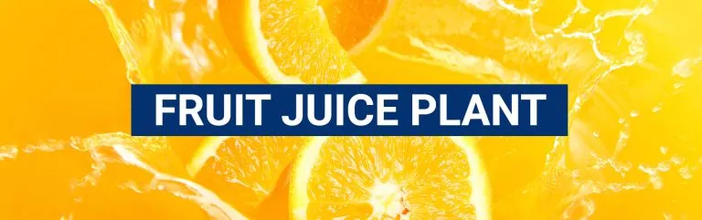 Banner reading 'Fruit Juice Plant' over a splash of sliced oranges