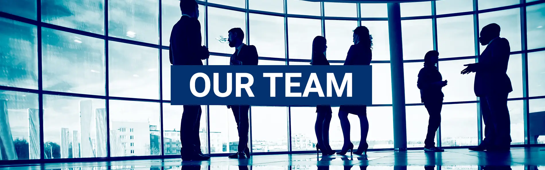 Our Team