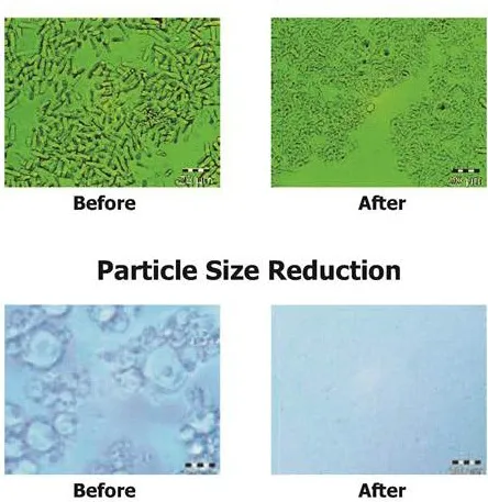 Before and after micrographs showing particles reduced to a much finer, uniform size