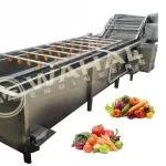Wahal fruit and vegetable washing machine with overhead spray bars and inclined conveyor